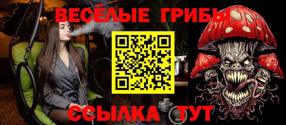 Псилоцибиновые грибы Cubensis  Галлюциногенные грибы мухоморы  Вход с VPN  Павлово 
